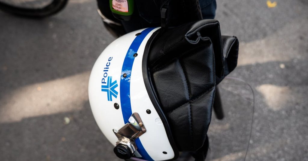 cover image 8282